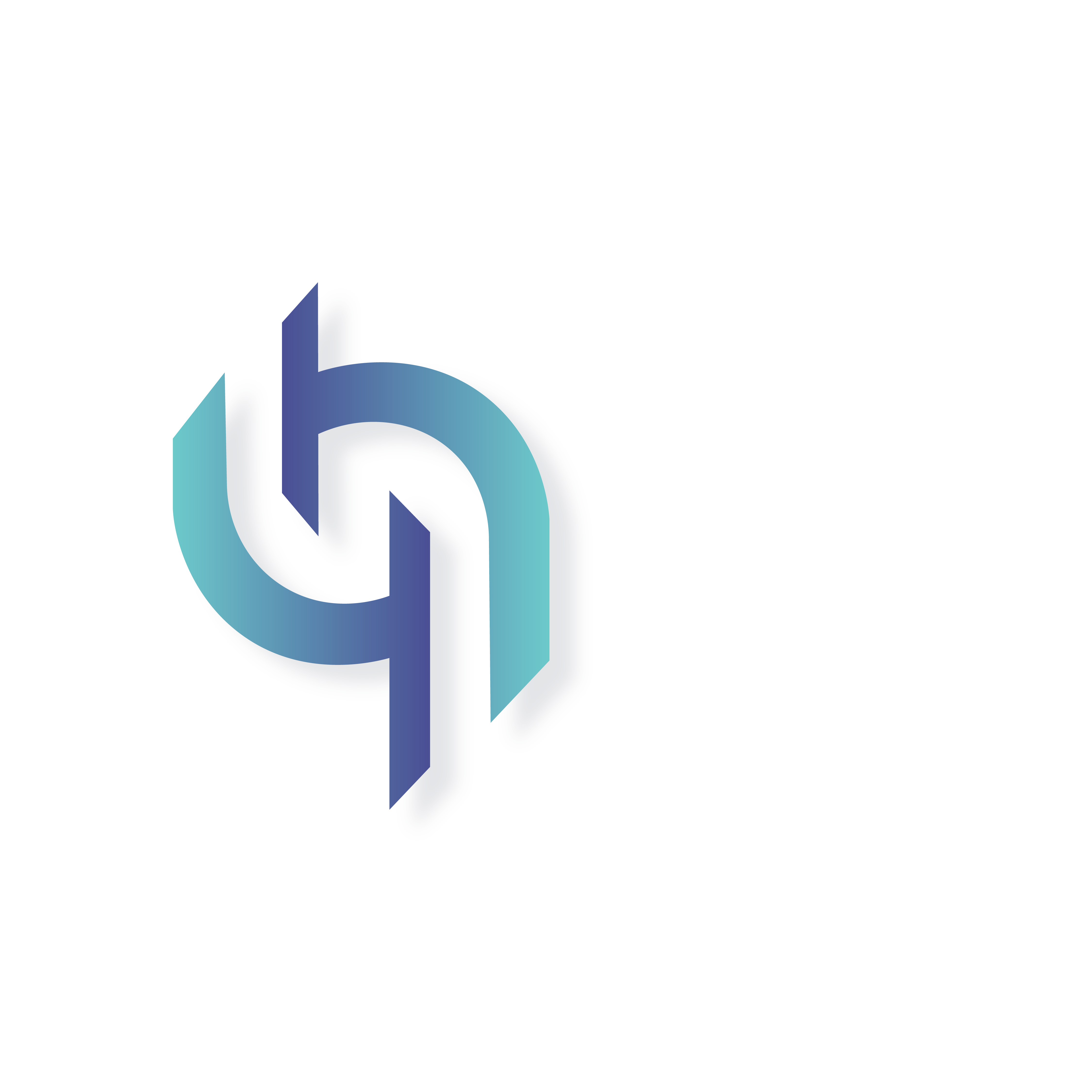 NaN logo